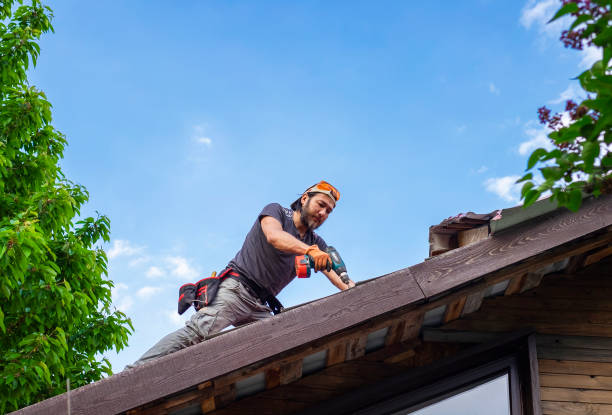 Fast & Reliable Emergency Roof Repairs in Timberlane, IL